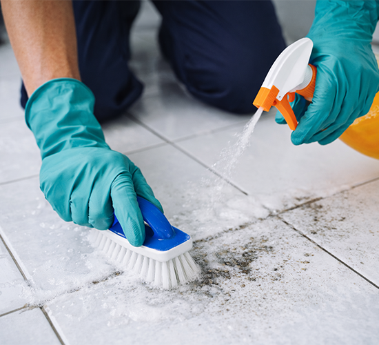 MDH – Grund- und Sonderreinigung